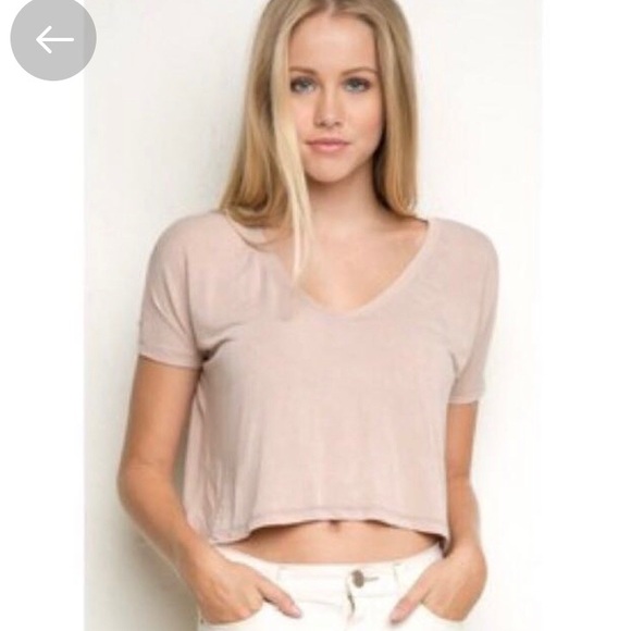 Brandy Melville Tops - BRANDY MELVILLE Alayna light blush pink crop top